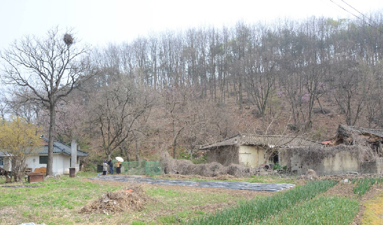 남정일헌이 살았던 충남 예산읍 간양리 생가지. 문희순 문학박사·충청문화연구소 연구교수