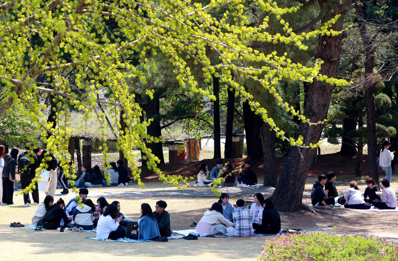 포근한 봄 햇살이 캠퍼스를 감싼 11일 오전 충남대학교의 나무 그늘 아래 학생들이 모여 앉아 도란도란 이야기를 나누며 잠시 일상에서 벗어난 여유로운 시간을 즐기고 있다. 꽃피는 계절의 정취 속에 웃음이 오가는 풍경이 캠퍼스 곳곳을 따스하게 물들였다. 김영태 기자 
