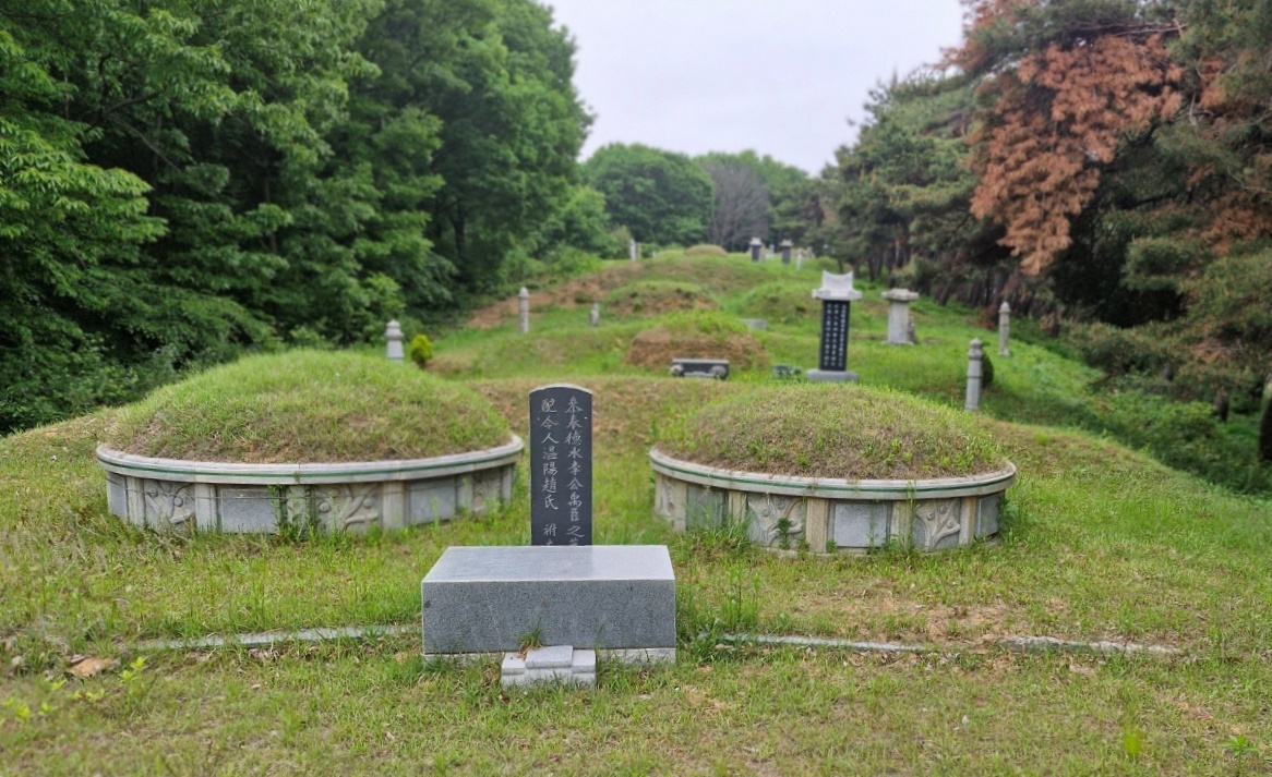충남 아산시 음봉면 삼거리 이 충무공 묘 인근에는 충무공파 문중의 묘역이 조성돼 있다. 김재근 선임기자