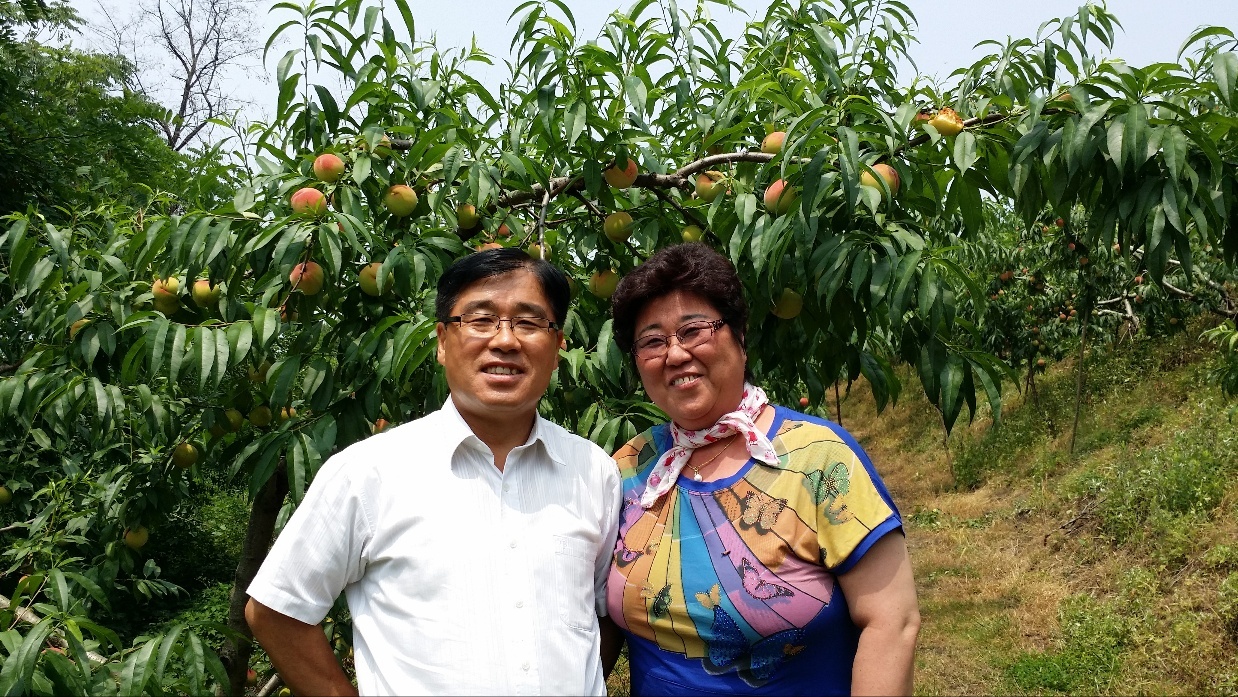 양문교 세종조치원복숭아연합회장과 배우자가 농사 도중 기념촬영을 하고 있다. 세종조치원복숭아연합회 제공