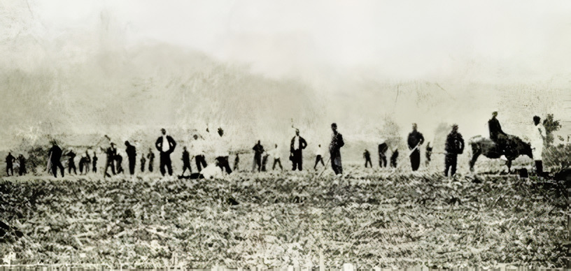 신흥무관학교 학생들이 농사를 짓는 모습. 1915년 촬영.