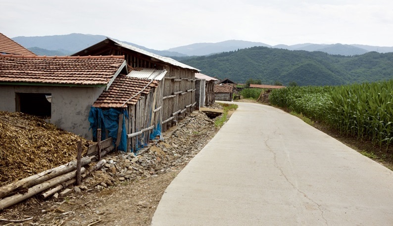 옥수수 밭으로 변한 신흥학교 학우단 본부 터 추정지. 사진=독립기념관