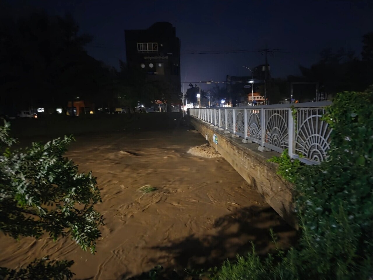 지난 16일 밤 충남 지역에 쏟아진 폭우로 17일 오전 5시 기준 당진의 누적 강수량이 361.5㎜를 기록한 가운데 당진천이 범람하고 있다. 독자 제공