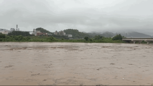 오송 참사 당시 범람했던 미호천. 김동민 기자