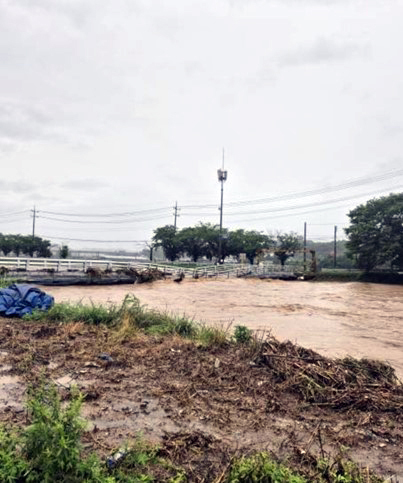 세종소방본부 제공