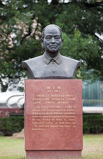 후난농업대 안에 조성돼 있는 유자명 흉상.