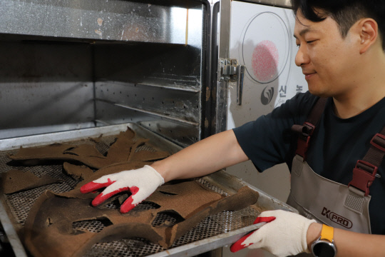 연암대 귀농지원센터 수료생 강조웅 태흥 이사가 배에서 추출한 석세포를 살펴보고 있다. 박하늘 기자