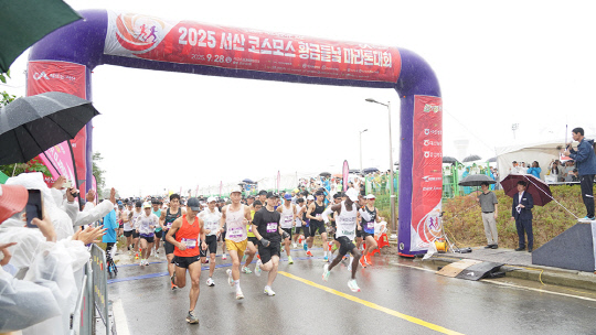 비 속에도 '질주' 서산 코스모스 황금들녘 마라톤 7천여 명 완주