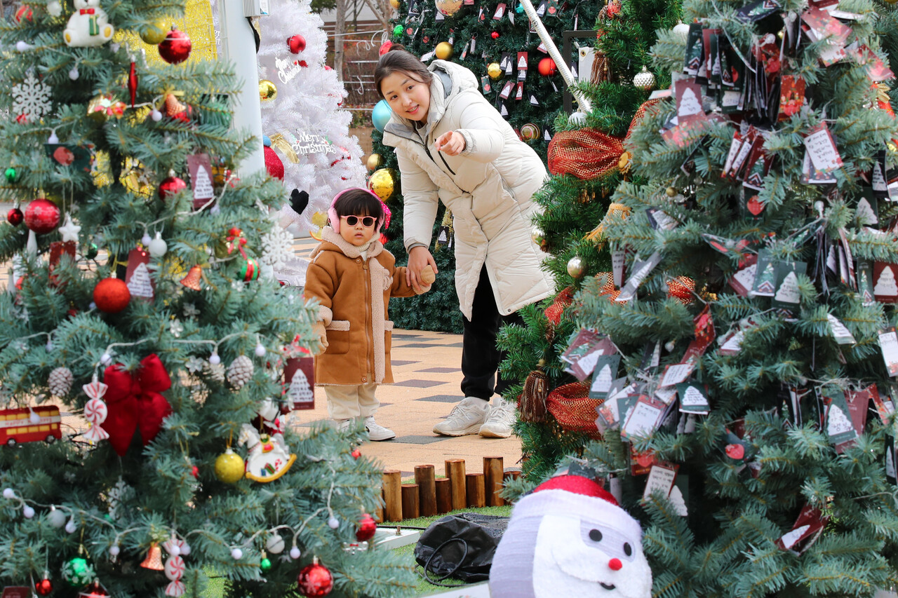 [포토] 트리 아래 크리스마스 추억 - 뉴스 썸네일 이미지