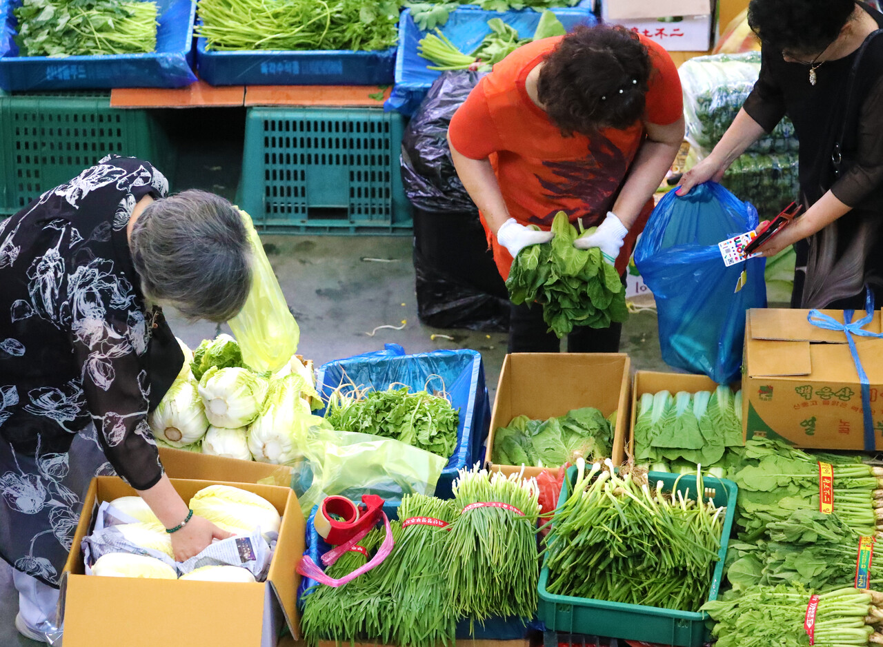 밥상 물가 '전방위 급등'...쌀·채소 이어 축산물까지 들썩 - 뉴스 썸네일 이미지