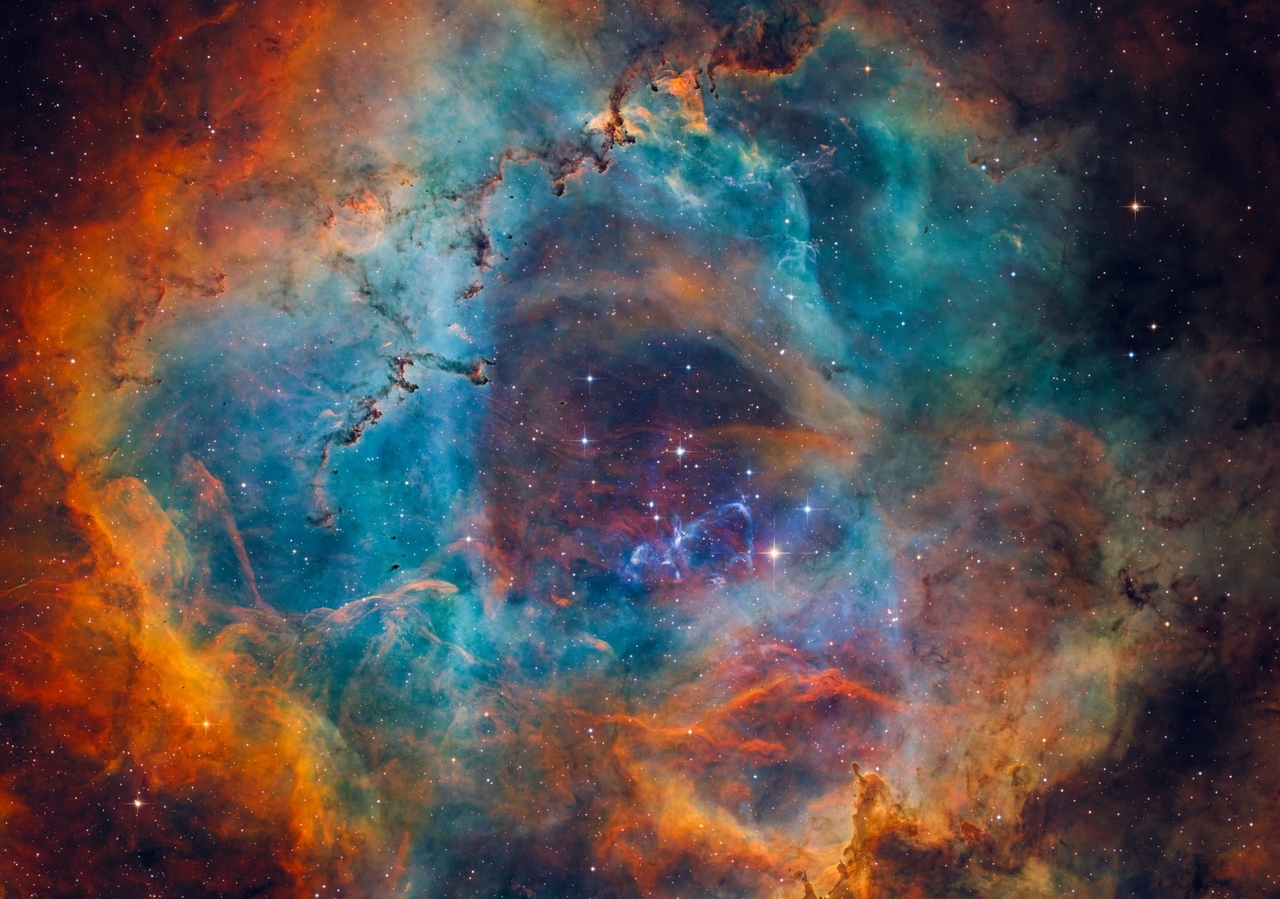 천체사진공모전 대상에 김슬우씨 '장미의 심장, 황금빛 물결의 파동' - 뉴스 썸네일 이미지