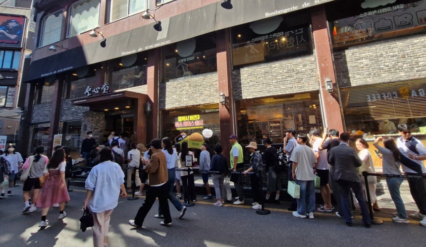 성심당 빵지순례 효자네! 대전 소규모 숙박업소 1년 새 2배 껑충